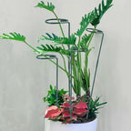 Plant Stake Support - Image 5