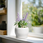 SQOWL Ceramic Flower Pots - Image 2
