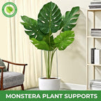 LEOBRO 24 Inch Plant Support Stakes, Peony Cages and Supports, Garden Stakes - Image 6