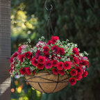 2 Pack 10 Inch Hanging Planters - Image 4