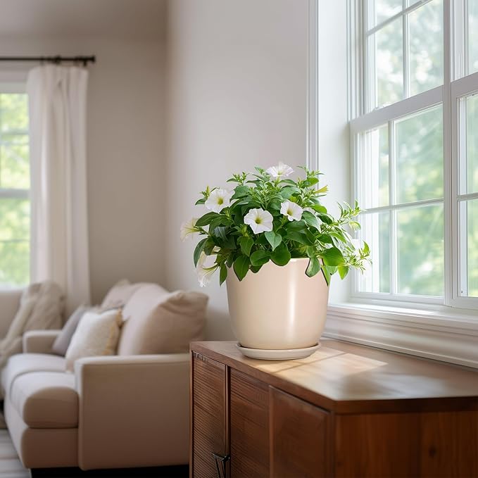 8 Inch Plant Pot - Image 6