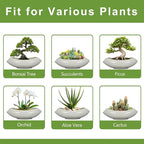 Bonsai Pots 18 Inch - Image 7