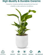 vancasso 8 Inch Ceramic Plant Pots, Planters - Image 4