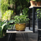 SQOWL Ceramic Flower Pots - Image 5