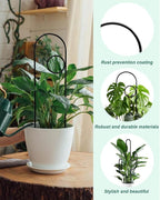Small Plant Trellis for Climbing Plants Indoor - Image 5