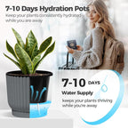 T4U 4.5 Inch Plant Pots Self Watering, 6 Pack African Violet Pots, Small Plant - Image 4