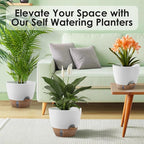 Self-Watering Plant Pots with Water Level Indicator, Drainage Holes & Saucers – - Image 5