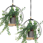 Geelin 2 Pack Plant Hanger by Geelin