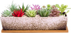 Succulent Pots - Large Succulent Planter Pots by ARTKETTY