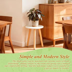 Plant Stand Indoor/Outdoor for Plants, Wood White Planter Stands Holder Mid - Image 4