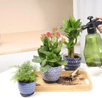Selamica Ceramic Succulent Pots, 4.6 Inch Small Plant Pots - Image 6