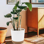 QCQHDU 10 inch Plant Pot, 2 Pack Planters - Image 5