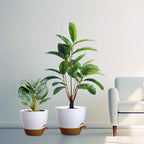 10/9/8 inch Medium Self Watering Pots, Plant Pots - Image 7