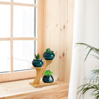 XXXFLOWER Bamboo Plant Stand, 3 Tiers Indoor Succulent Windowsill Shelf - Image 4