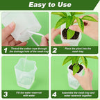 12 Pack Self Watering Pots Set for Indoor Plants, 2.5" Small Clear Self - Image 5