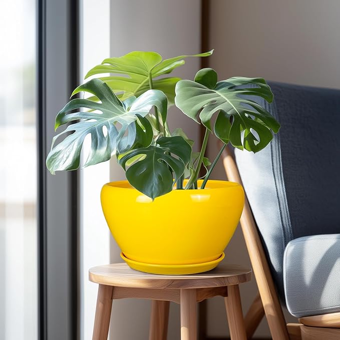 Indoor Planter 11 Inch - Image 5