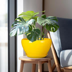 Indoor Planter 11 Inch - Image 5