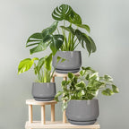 G EPGardening Modern Ceramic Planter - Image 7