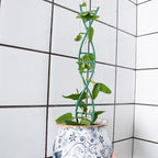 Indoor Plant Trellis for Potted Plants - Image 7