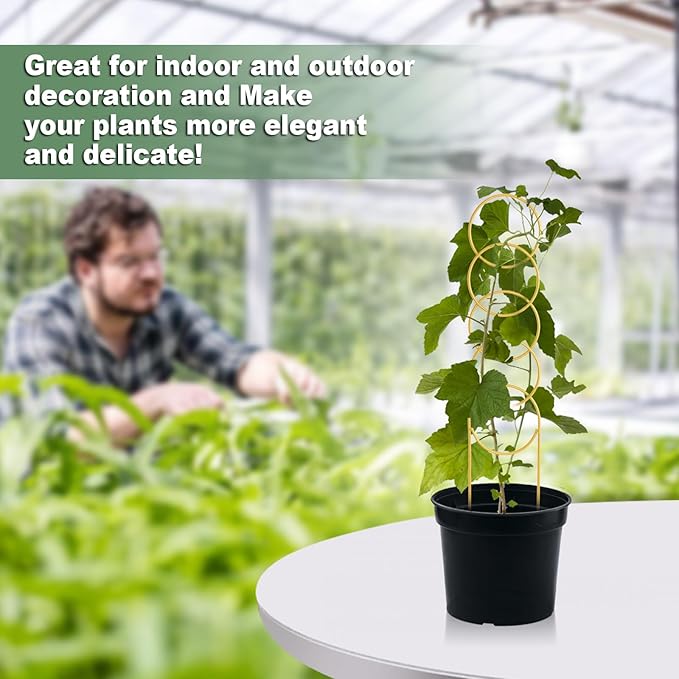 17.5 Inch Indoor Plant Trellis for Climbing Plants, Metal Trellis, Small Garden - Image 6