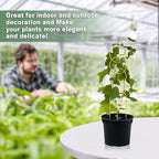 17.5 Inch Indoor Plant Trellis for Climbing Plants, Metal Trellis, Small Garden - Image 6
