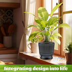 Set of 6 Self Watering Plant Pot 3 Sizes Plastic Double Layer Self Watering - Image 5