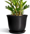 Ceramic Pots for Plants by SUNPOTFOR