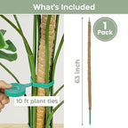 63'' Bendable Moss Pole Monstera Plant Support - Image 2