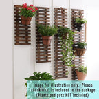 ShopLaLa Wall Planter for Climbing Plants Outdoor - Image 6