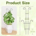 Larger 23.6in Taller Plant Trellis - Image 3