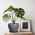 Ceramic Planter - Image 4