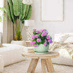 Large Flower Pots 12/10/9 inch, 3 Set Wide Plant Pots - Image 5