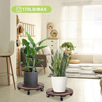 2pack 12" Plant Caddy Plant Stand - Image 2
