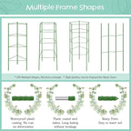 Legigo 2-Pack Tomato Cage for Garden Plant Support- Up to 63inch Garden Stakes - Image 5