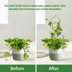 Indoor Plant Trellis for Potted Plants, 16inch Gold Small Trellis for Climbing - Image 4