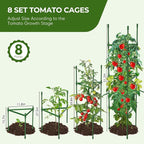 8PCS Tomato Cages for Garden, Tomato Trellis for Raised Garden Bed, 51.2" Tall - Image 2