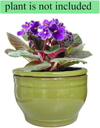 African Violet Pots Self Watering Round Ceramic Violet Pot - Image 6