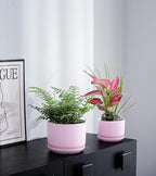 Ton Sin Pink Flower Pots, Ceramic Planter Pot - Image 7