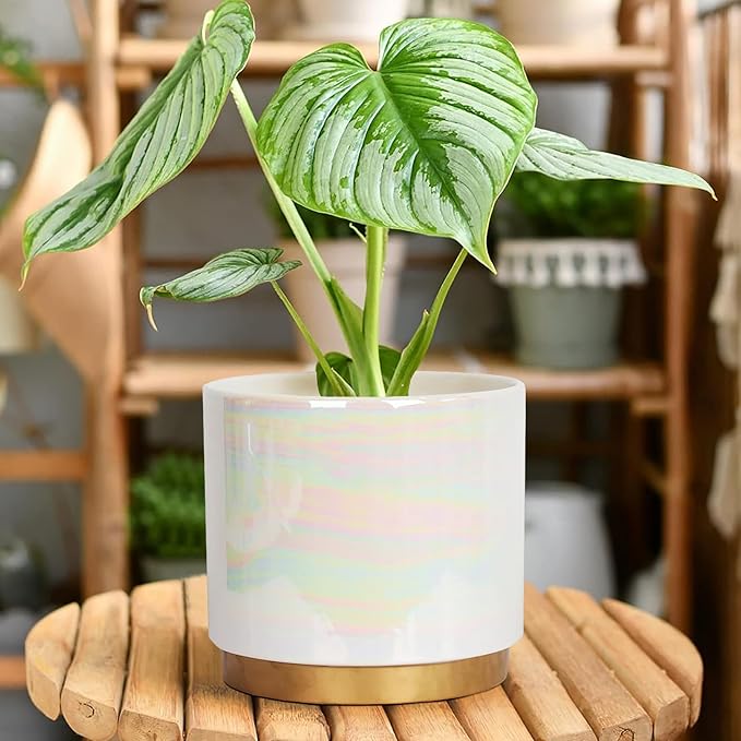 Gepege White Indoor Pots for Plants, Ceramic Planter - Image 4