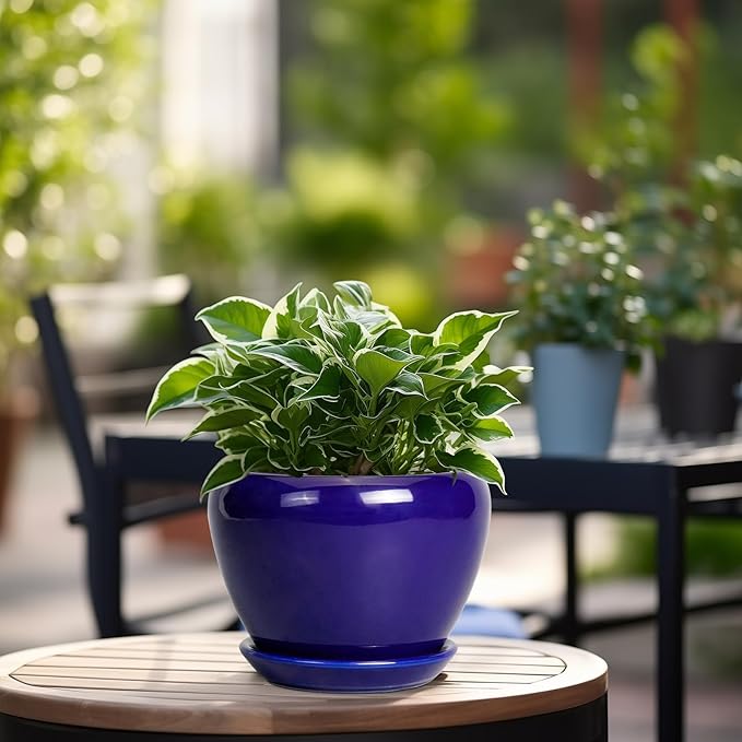 6 Inch Plant Pot - Image 4