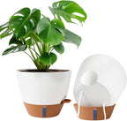 2 Pack 10 inch Plant Pots, Plastic Self Watering Planters by Fielda