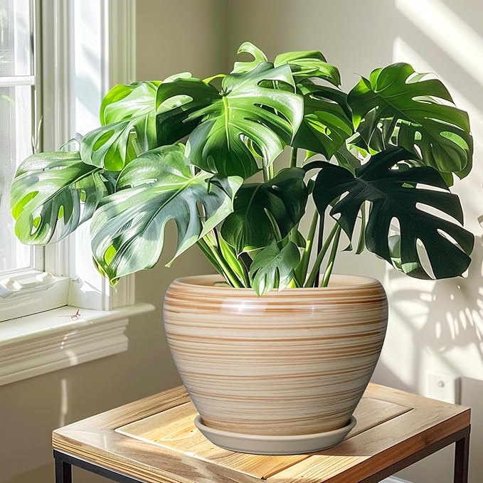 Ceramic Pot for Plant 10 Inch - Image 7