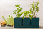 D'vine Dev Herb Garden Planter Set, Plastic Plant Pots - Image 7