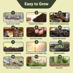 10 Herb Garden Planter Indoor Kit, Soil Discs, Gardening Tools, Unique - Image 4
