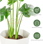6PCS Iron Monstera Plant Support, Uniquely Designed Indoor Plant Accessories - Image 4