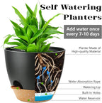 Indoor Pots For Plant Self Watering Plant Pots For Lazy People, - Image 2