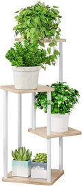 AZERPIAN Plant Stand 4 Tier Indoor Metal Flower Shelf by AZERPIAN