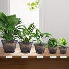 Plastic-Plant-Flower-Planters-14 Inch - Image 5