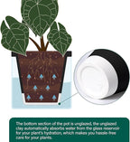 D'vine Dev 6 Inch Design Self Watering Planter - Image 6