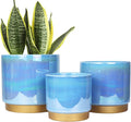 Gepege Ceramic Pots for Plants, Rainbow Pearl Glaze Planter by Gepege